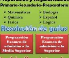 Regularización Primaria, Secundaria y Preparatoria