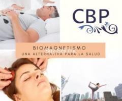 DIPLOMADO EN BIOMAGNETISMO