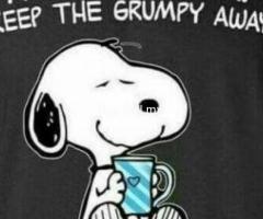 CURSO TOEFL IBT e IELTS