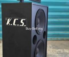 Bafle Profesional de Rango Completo KCS S-2500