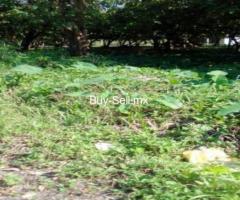 800 m² – TERRENO EN VENTA 800 M2
