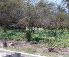 18000 m² – VENTA TERRENO PARAISO TABASCO JUNTO REFINERÍA DOS BOCAS