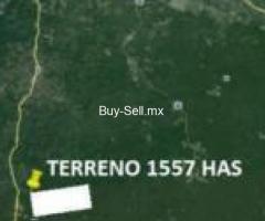 EN VENTA 1,557 HECTAREAS EN OXKUTZCAB IDEAL PARA APIARIO,SIEMBRA