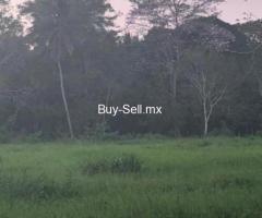 60000 m² – RENTA TERRENO 6 HECTÁREAS PARAISO TAB RIA. MOCTEZUMA 1A SECC