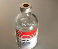 Adderall, Nembutal,Oxicodona,Medikinet,Concerta, Rubifen,Alprqazolam ahora.Whatsapp: +1(507) 2186238