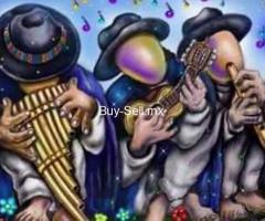 VENTA DE INSTRUMENTOS MUSICALES ANDINOS PROFESIONALES