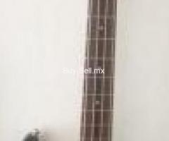 Bajo 4 Cuerdas como nuevo 2800 Xalapa.