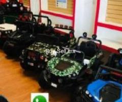 CARRITOS ELECTRICOS MONTABLES OFERTA 2,999 --