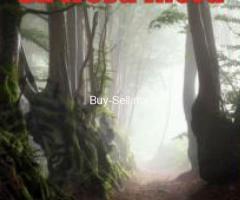 Libro electrónico (formato ePub y PDF)