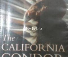 EL CONDOR DE CALIFORNIA