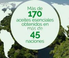 ACEITES ESENCIALES
